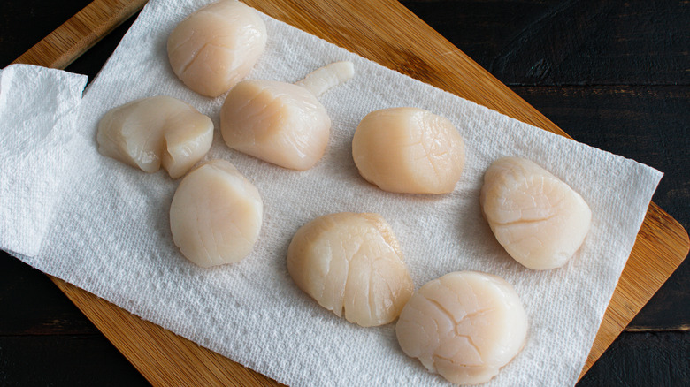 Thawed scallops on paper towel