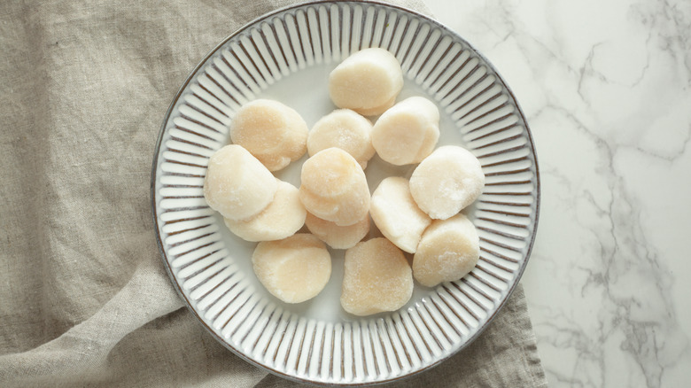 overhead frozen scallops on plate