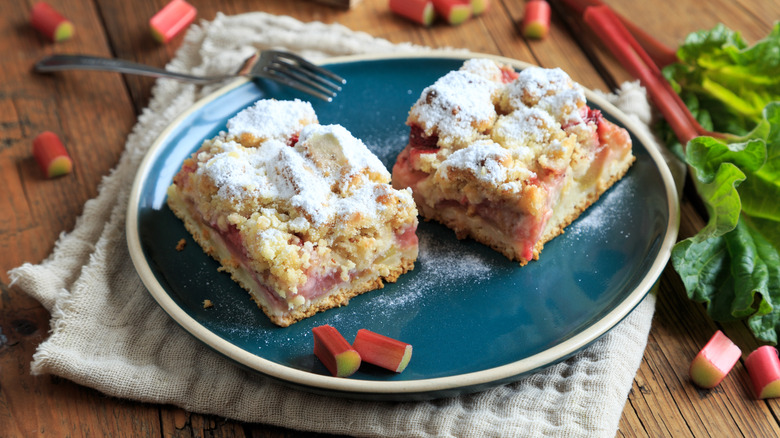 Two pieces of rhubarb cake on a plate surrounded by rhubarb