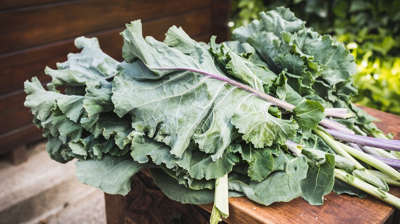 raw collard green leaves