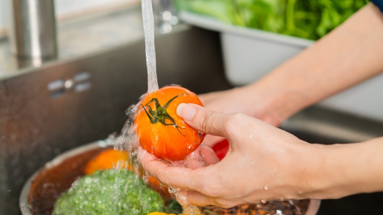 woman washing a tomato