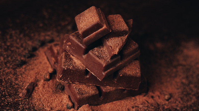 Chocolate pieces with cocoa powder