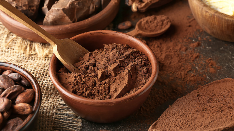 Bowl of cocoa powder