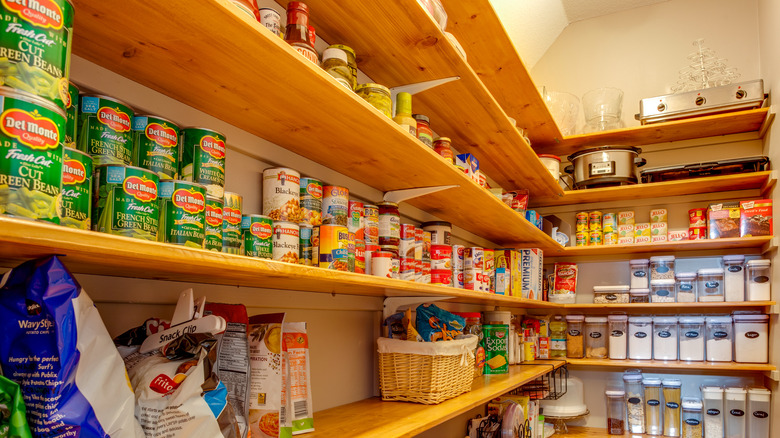 Pantry filled with cans