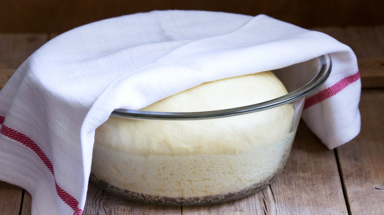 Bread dough proofing in bowl