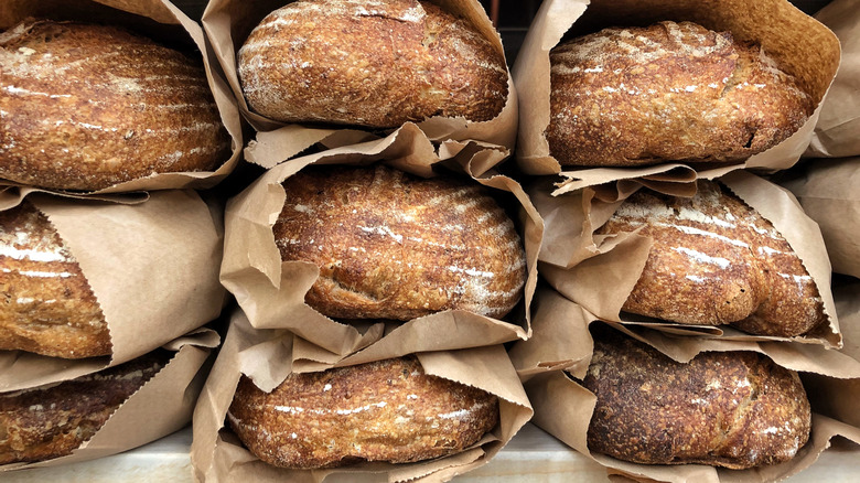 Sourdough loaves on shelf