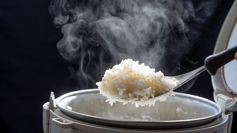 steaming rice in rice cooker