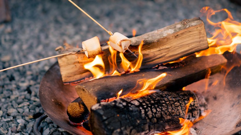 roasted marshmallows over the campfire