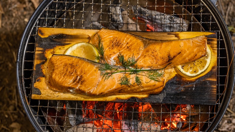 fish cooking on the grill on cedar plank