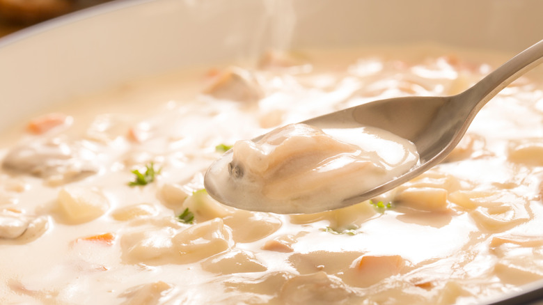 Creamy clam chowder