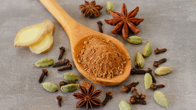 Wooden spoonful of fall spices with star anise and cloves