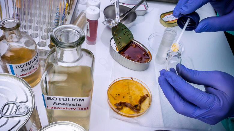 scientist tests canned food for botulism