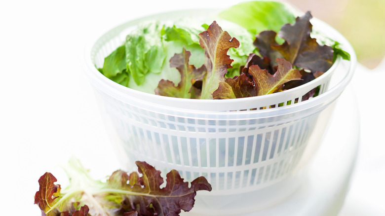 Lettuce Keeper Refrigerator Storage Box Salad Spinner Leaf Crisper