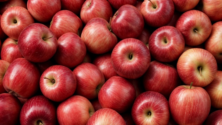 A bunch of apples