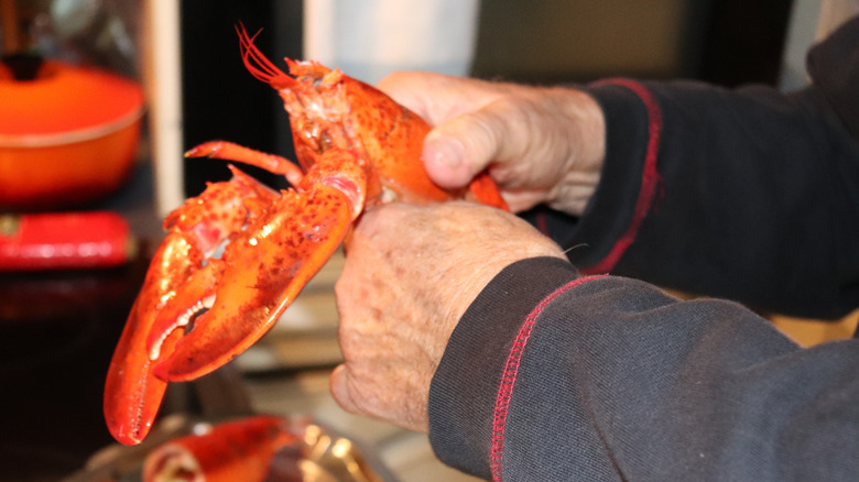 hands holding onto lobster