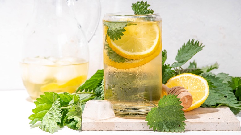 Homemade iced nettle tea with lemon