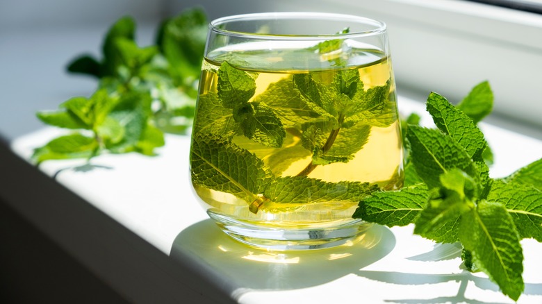 Homemade iced mint tea