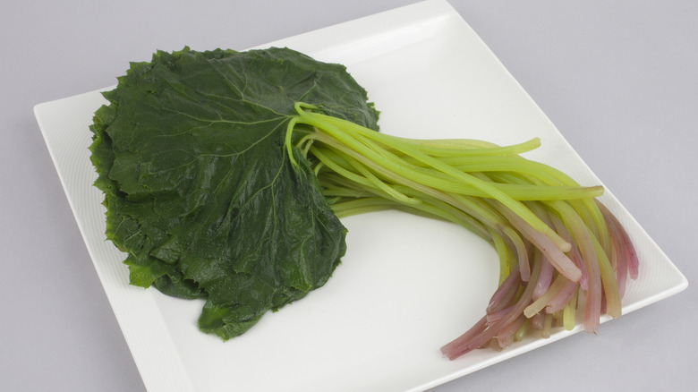 blanched leafy green vegetable on paper towel