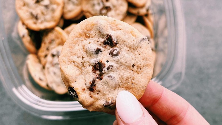 Costco mini chocolate chip cookie in hand