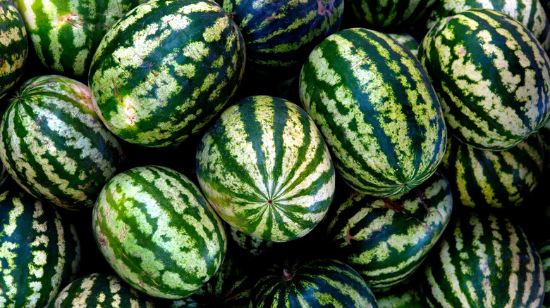 pile of whole watermelons