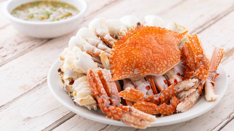 Plate of crab meat