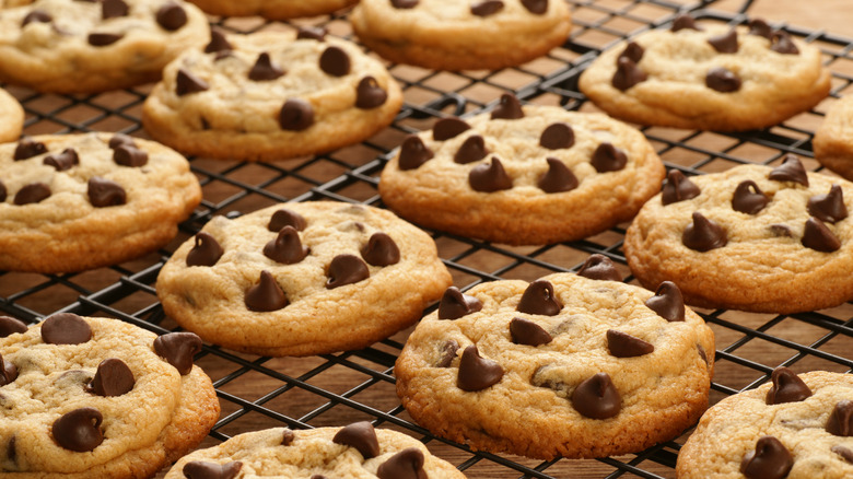 chocolate chip cookies on rack