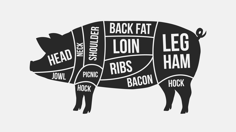 An illustration of a pig showing different cuts