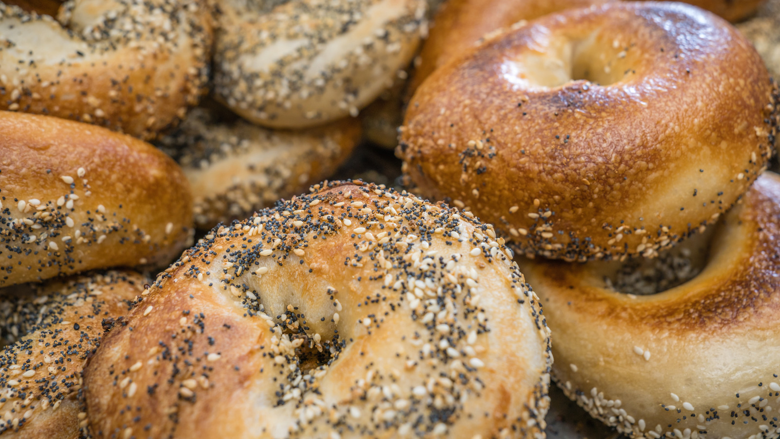 The Difference Between Bagels And Bialys