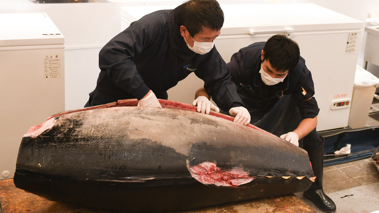 a butchered blue fin tuna 