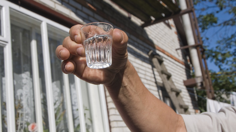 hand holding small vodka shot