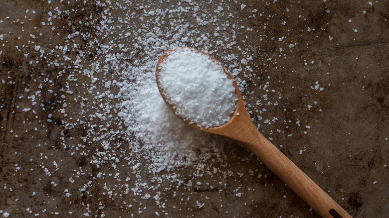 Kosher salt on wooden spoon 