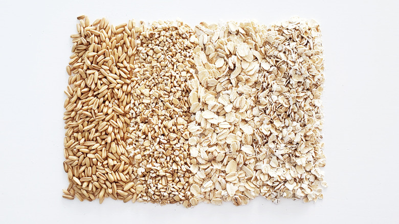 Oats and different oatmeals 