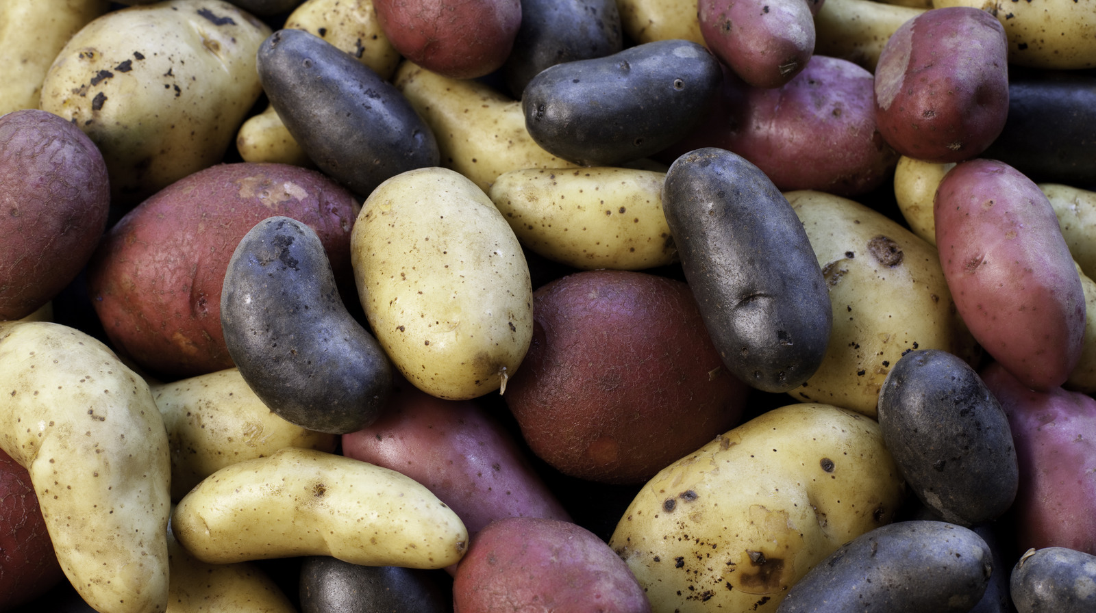 https://www.tastingtable.com/img/gallery/the-difference-between-potatoes-used-for-baking-and-boiling/l-intro-1694019952.jpg