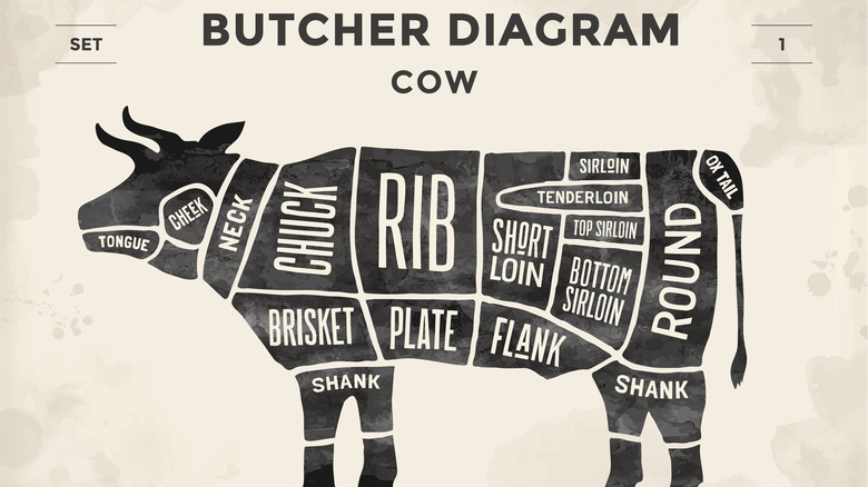 Butcher diagram 