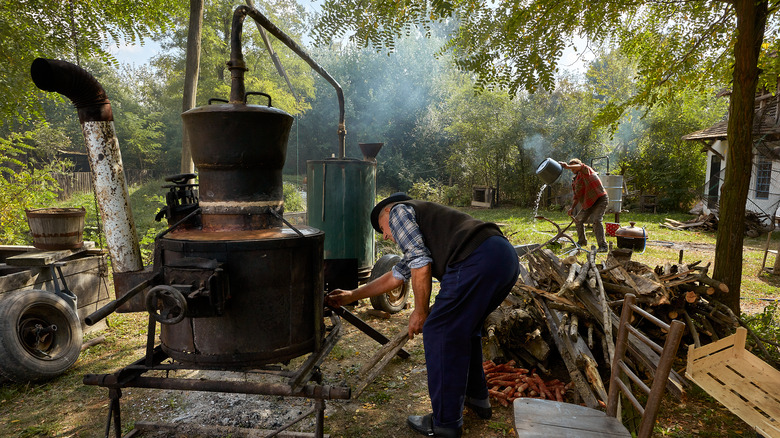 distilling homemade rakija