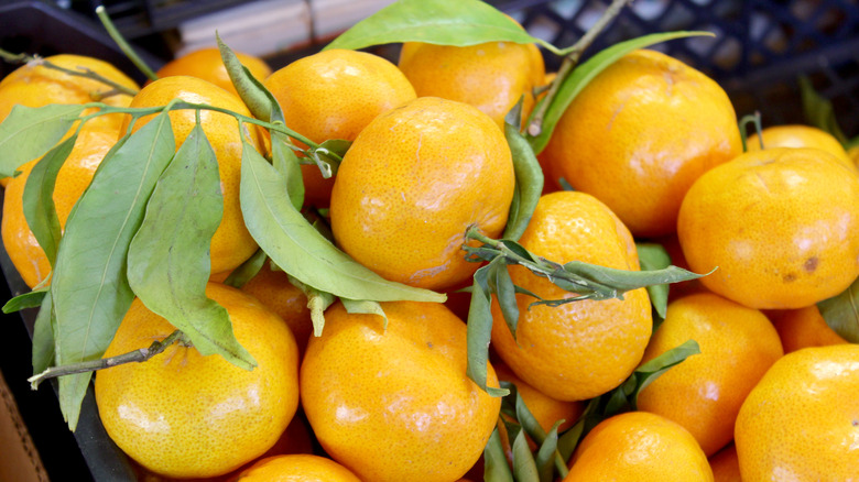 tangerines in a market