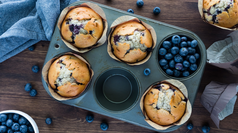 Blueberry muffins in tray