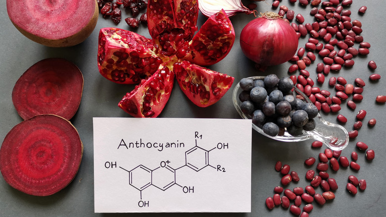 Blueberries and pomegranates with antioxidant anthocyanin