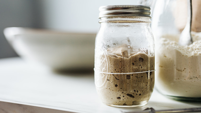 Jar of sourdough starter