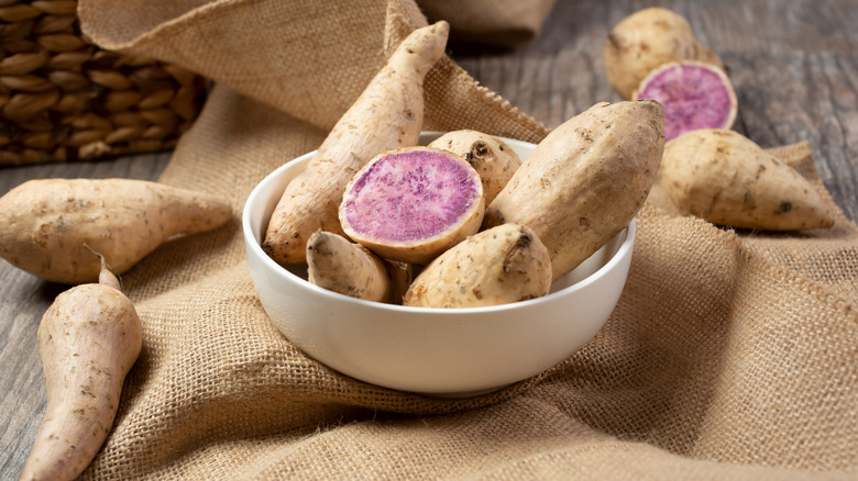 Okinowan Hawaiian purple sweet potatoes