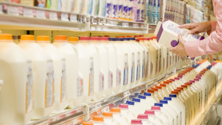 checking milk in supermarket