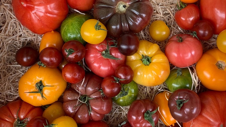 many tomato varieties