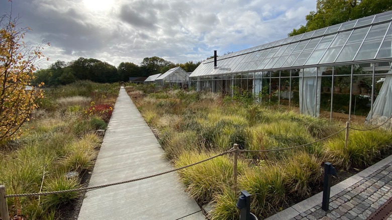 greenhouses pictured on Noma campus