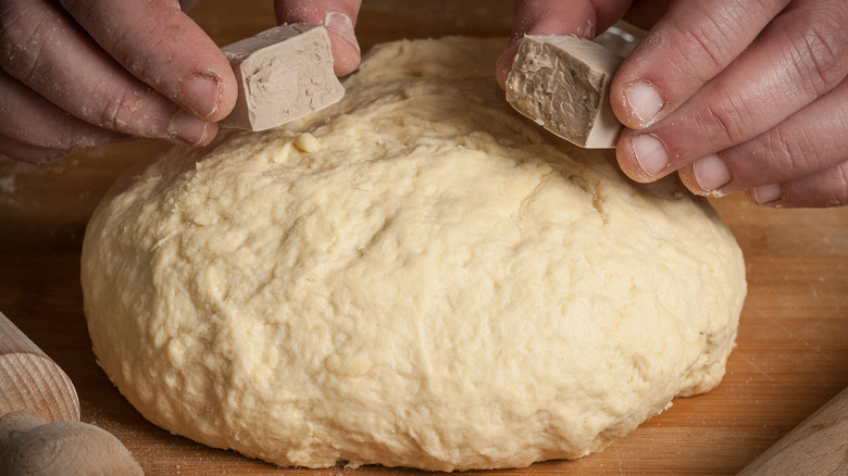 brewer's yeast over bread dough