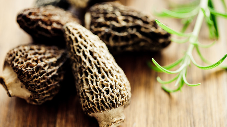 fresh morel mushrooms on cutting board