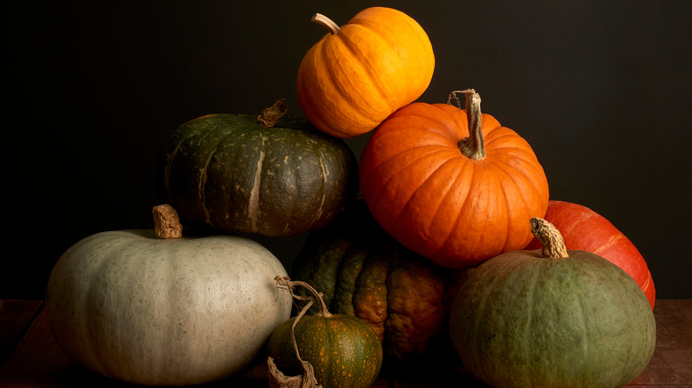 Variety of Hubbard squashes