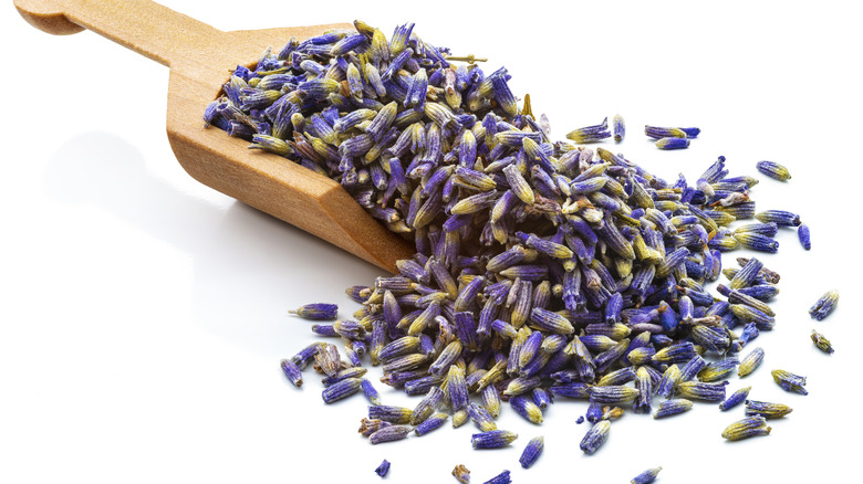 scoop of lavender buds