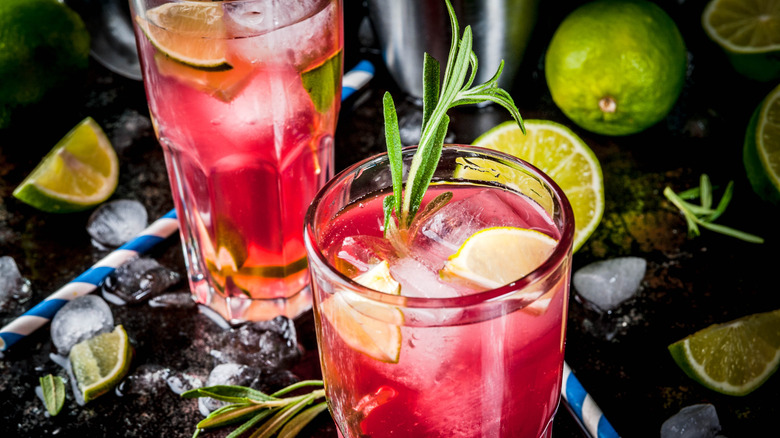 vodka cranberry with citrus and herbs