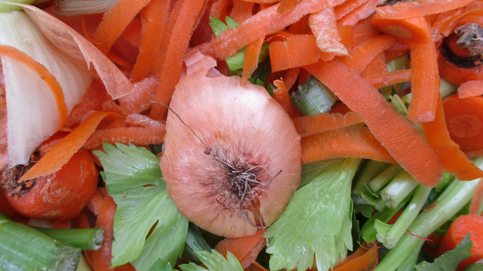 The Easy Method To Give Your Vegetable Scraps A New Lease On Life