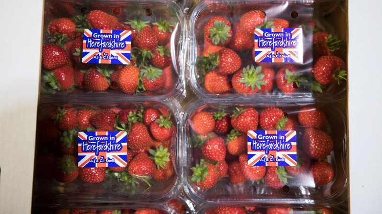 Strawberries in cartons